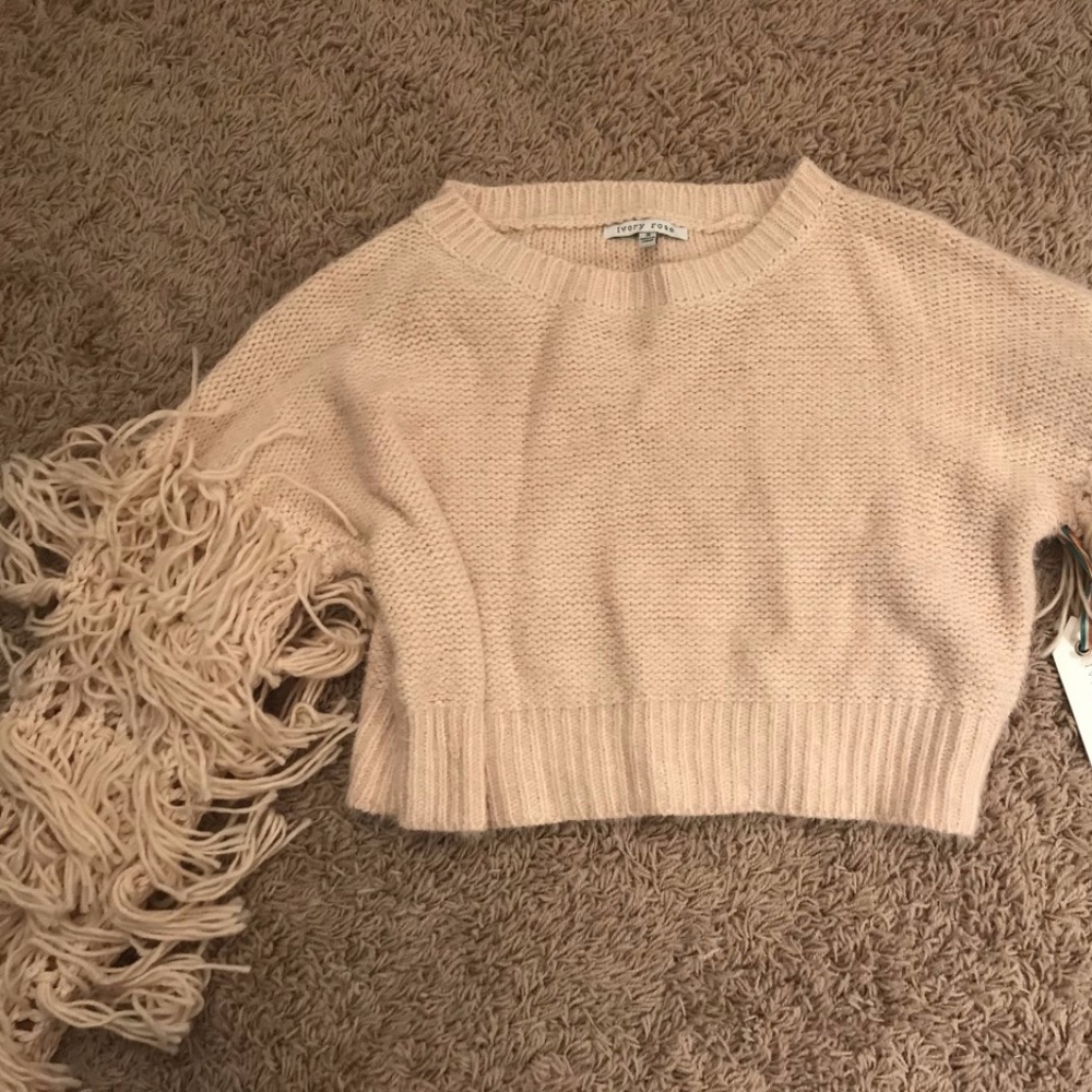 Cropped Sweater with Fringe Sleeves